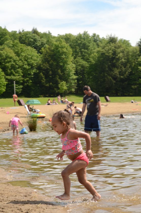 Chapman State Park beach opens to public News, Sports, Jobs Times